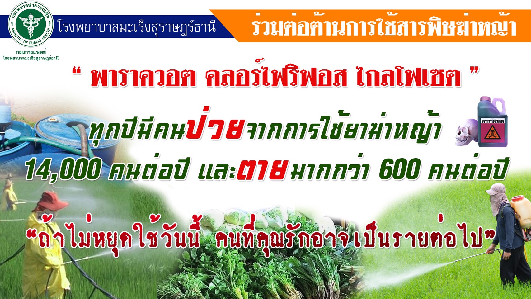 โรงพยาบาลมะเร็งสุราษฎร์ธานี ร่วมต่อต้านการช้สารพิษฆ่าหญ้า